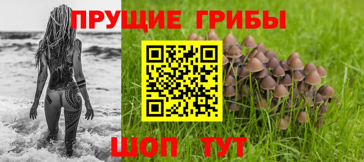 Псилоцибиновые грибы Psilocybe  дарнет шоп  Михайловка  Галлюциногенные грибы Magic Shrooms  Вход с VPN 