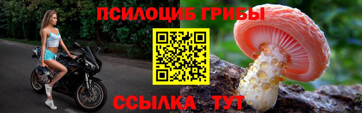 Псилоцибиновые грибы MAGIC MUSHROOMS Михайловка